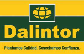 Dalintor